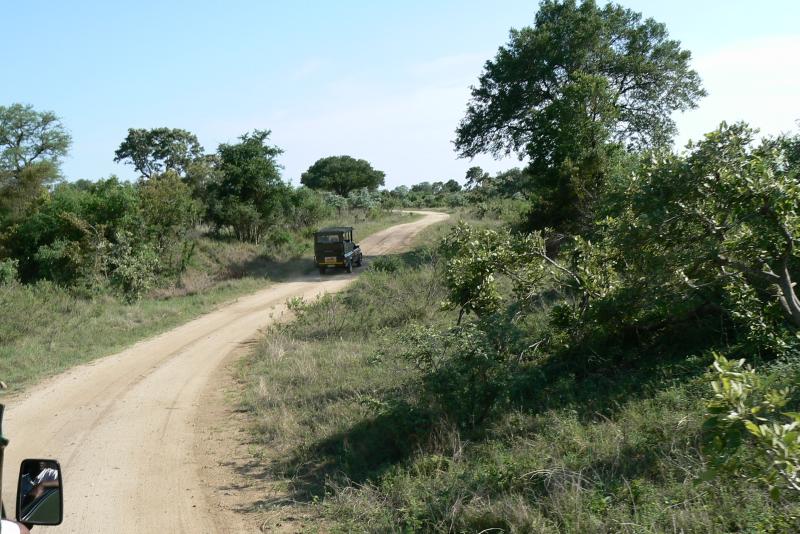 15 REGIONE DEL MPUMALANGA Parco Kruger